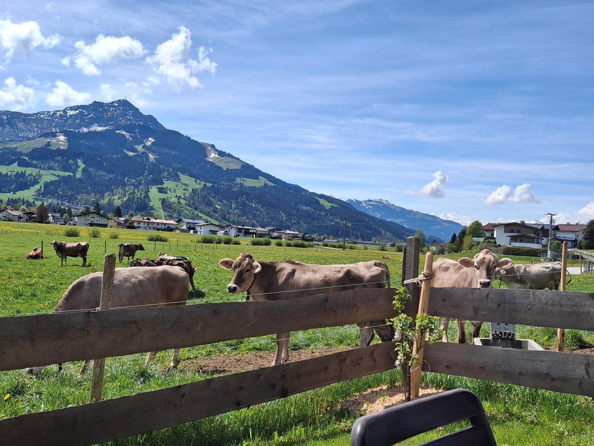 Villa Lampererhof St. Johann in Tirol Exterior foto