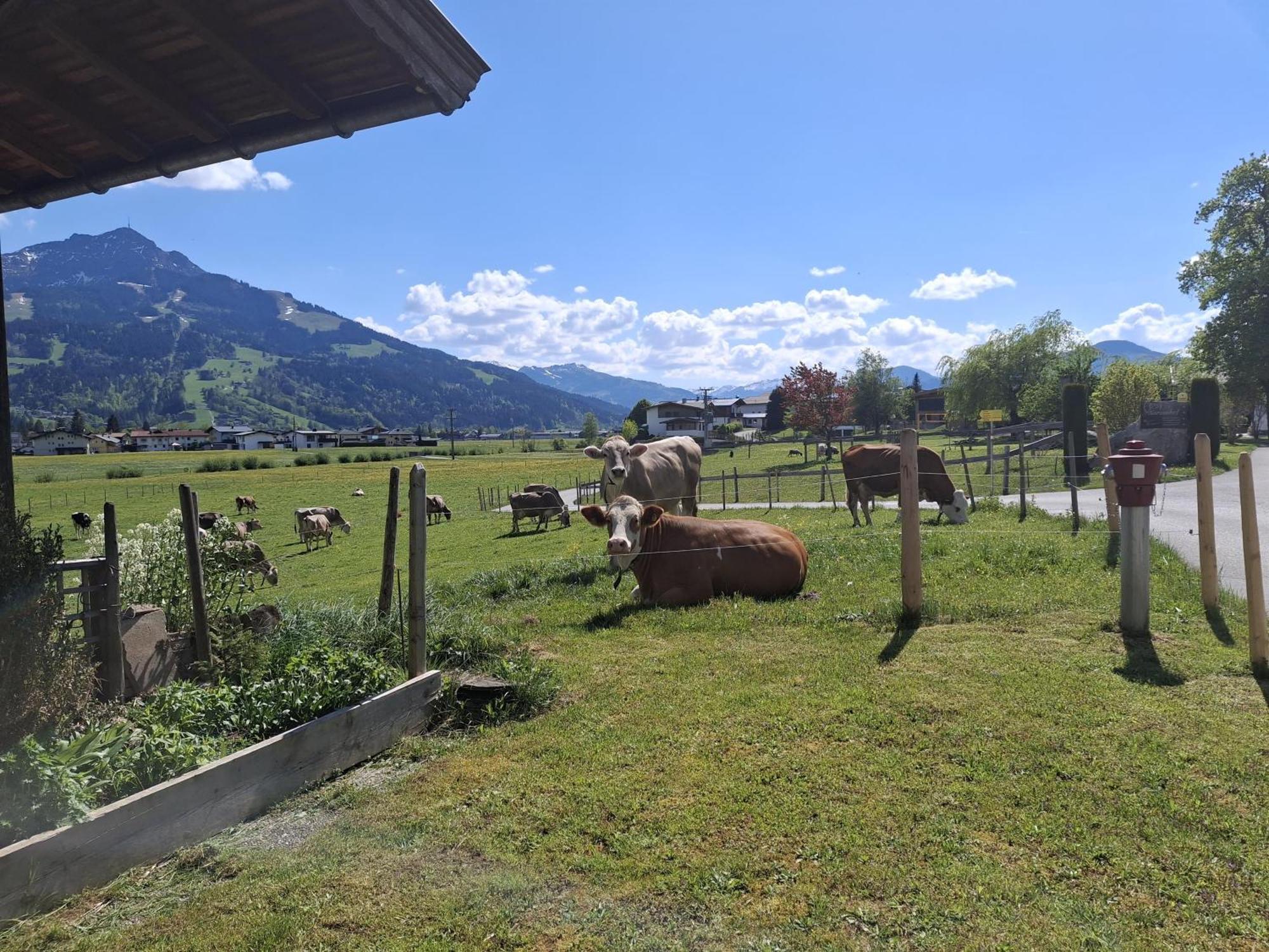 Villa Lampererhof St. Johann in Tirol Exterior foto