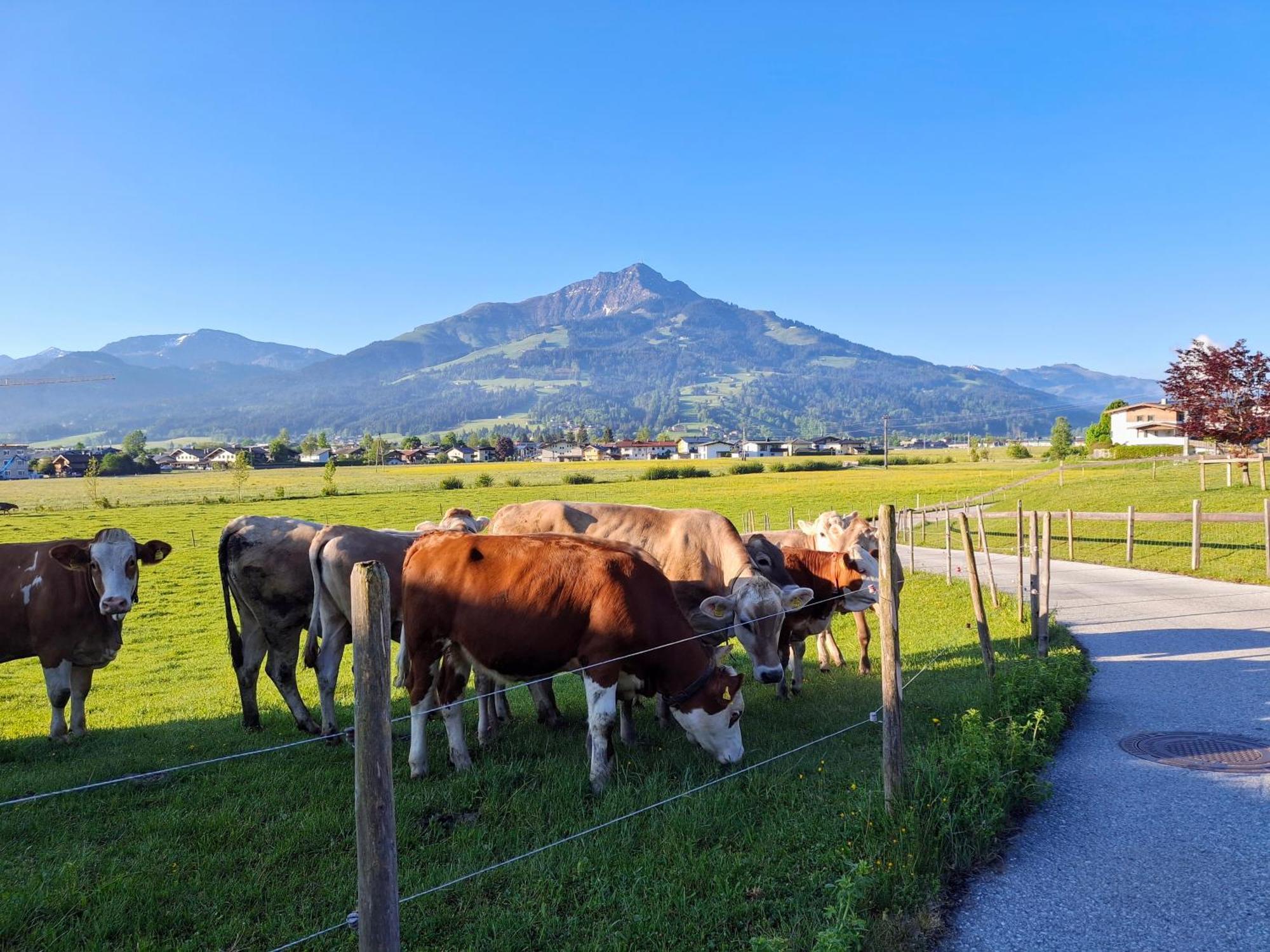 Villa Lampererhof St. Johann in Tirol Exterior foto