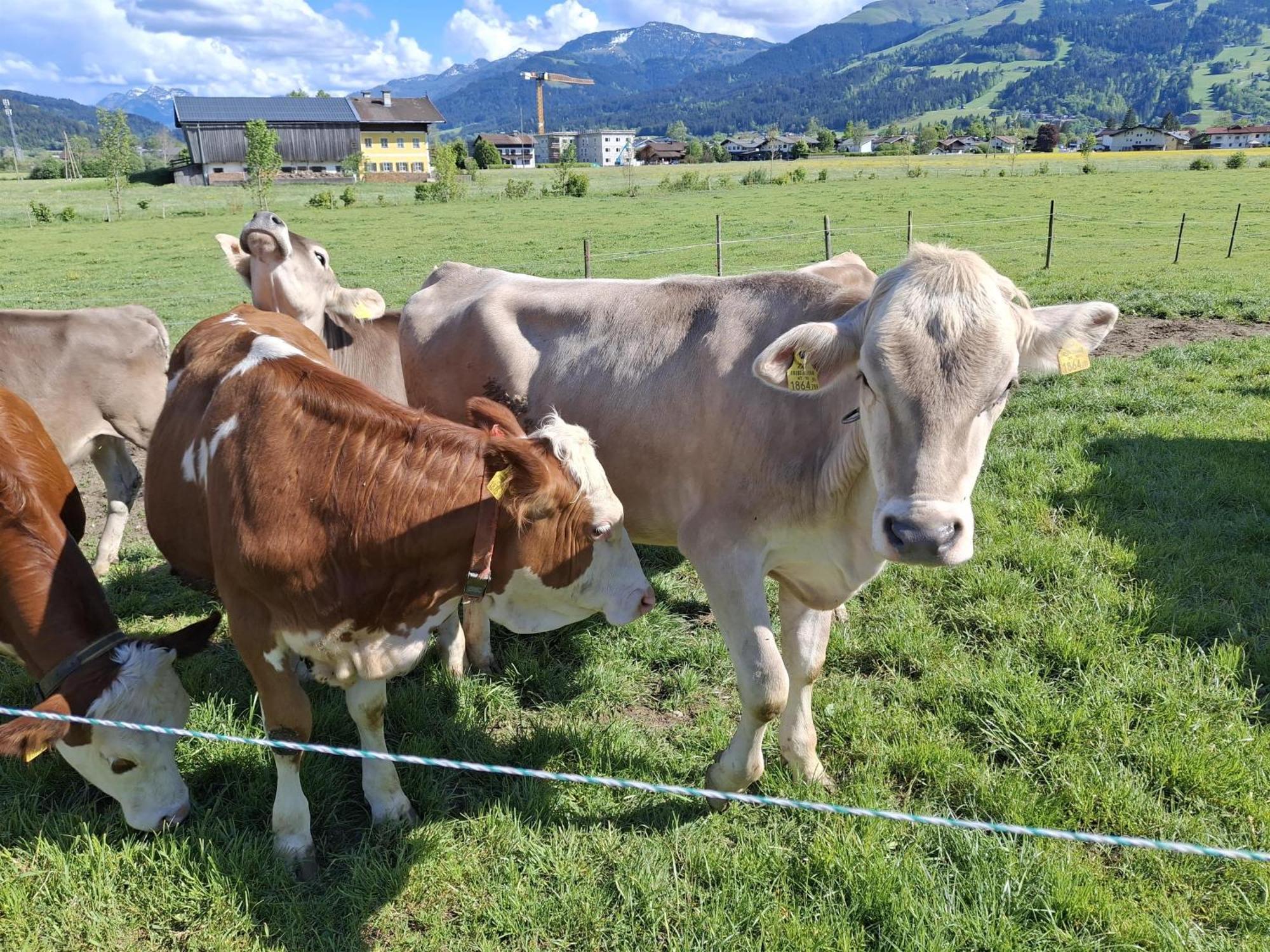 Villa Lampererhof St. Johann in Tirol Exterior foto